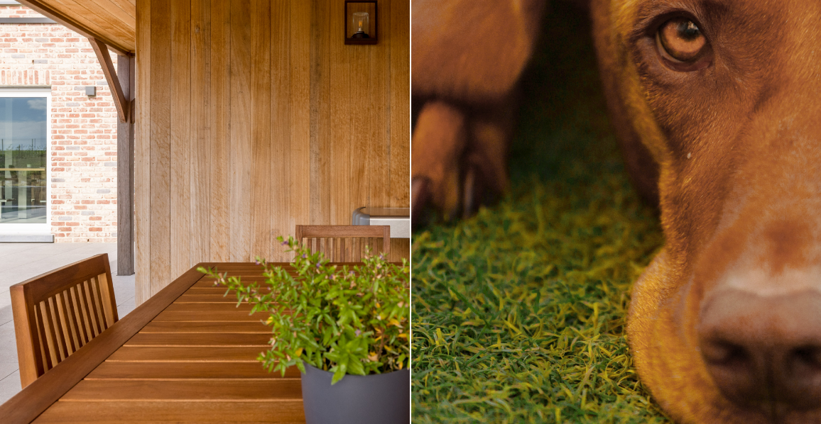 Une composition de deux images.

Sur la gauche, une terrasse couverte avec table et chaises en bois, adossée à un mur en bardage bois. Une plante verte en pot est posée sur la table. En arrière-plan, une façade en briques avec une porte vitrée.

Sur l'image de droite, un gros plan sur un chien au pelage brun, allongé sur de l'herbe synthétique. Son regard est tourné vers l'objectif.

